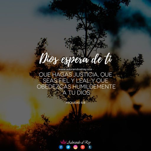 img-miqueas-6-8-1 Dios espera de ti que hagas justicia, que seas fiel y leal y que obedezcas humildemente a tu Dios — Miqueas 6:8