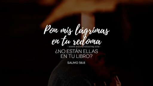 Salmo 56:8 – Pon mis lágrimas en tu redoma Salmo 56:8